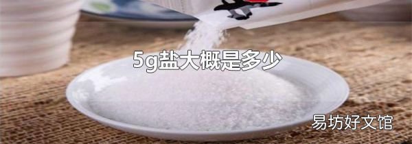 5g鹽大概是多少