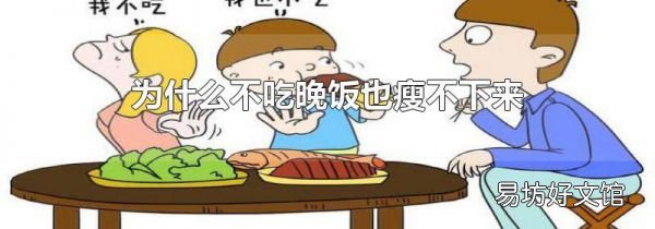 为什么不吃晚饭也瘦不下来