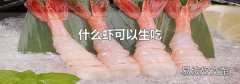 什么虾可以生吃