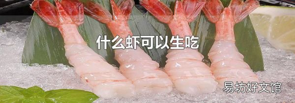 什么虾可以生吃