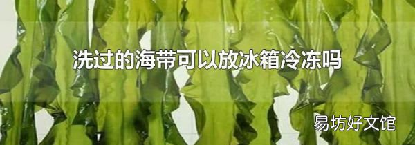 洗过的海带可以放冰箱冷冻吗