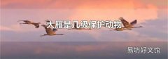 大雁是几级保护动物