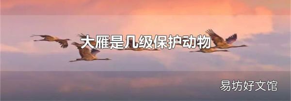 大雁是幾級保護動物