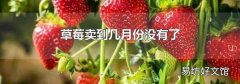 草莓卖到几月份没有了