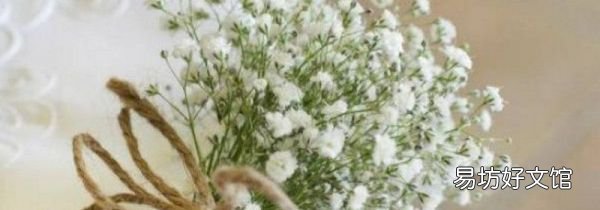 結(jié)婚手捧花用什么花