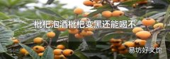 枇杷泡酒枇杷变黑还能喝不