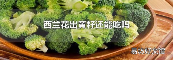 西兰花出黄籽还能吃吗