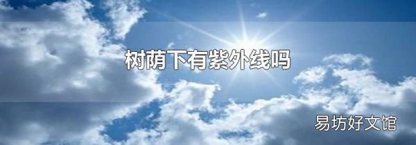 树荫下有紫外线吗