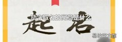 劢字取名的寓意是什么