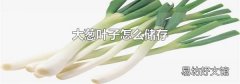 大葱叶子怎么储存