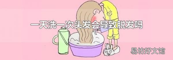 一天洗一次头发会导致脱发吗