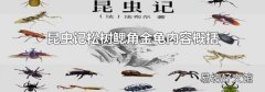 昆虫记松树鳃角金龟内容概括
