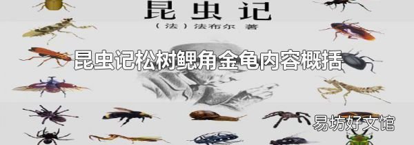 昆蟲記松樹鰓角金龜內容概括