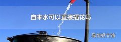 自来水可以直接插花吗