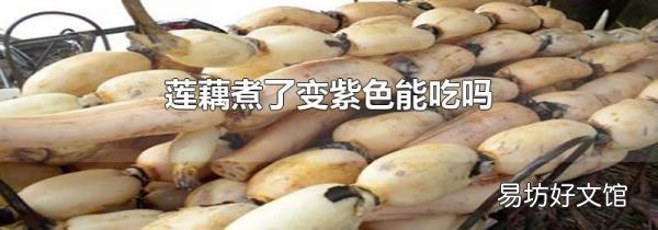 莲藕煮了变紫色能吃吗