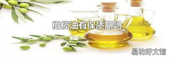 橄榄油有保质期吗