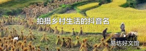 拍摄乡村生活的抖音名