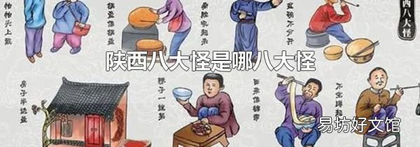陕西八大怪是哪八大怪