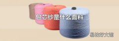 包芯纱是什么面料
