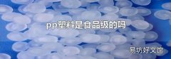 pp塑料是食品级的吗