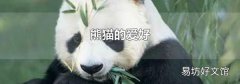 熊猫的爱好