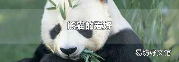 熊猫的爱好