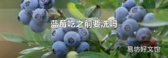 蓝莓吃之前要洗吗