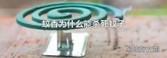 蚊香为什么能杀死蚊子