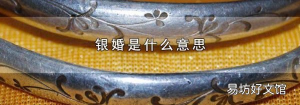 银婚是什么意思