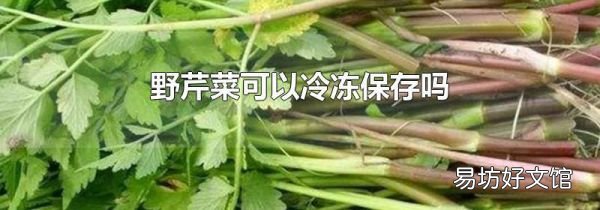 野芹菜可以冷冻保存吗