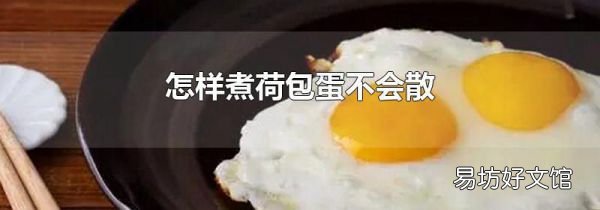 怎样煮荷包蛋不会散