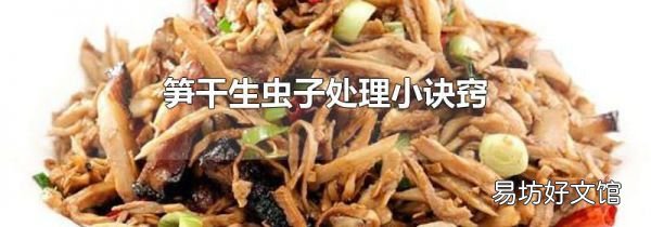 笋干生虫子处理小诀窍