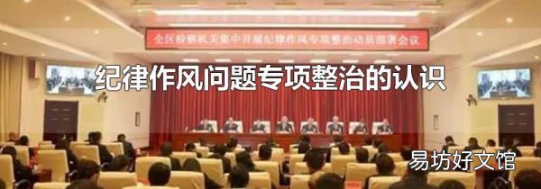 纪律作风问题专项整治的认识