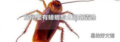 房间里有蟑螂怎么彻底清除