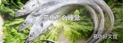 带鱼怎么睡觉