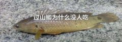 过山鲫为什么没人吃