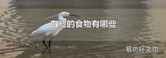 白鹭的食物有哪些