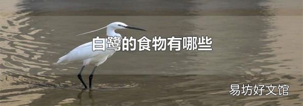 白鹭的食物有哪些
