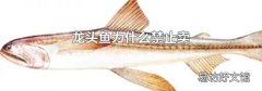 龙头鱼为什么禁止卖