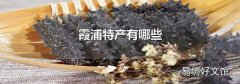 霞浦特产有哪些