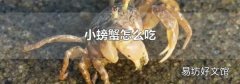小螃蟹怎么吃