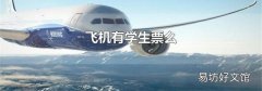 飞机有学生票么