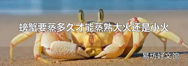 螃蟹要蒸多久才能蒸熟大火還是小火