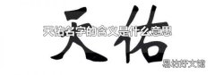 天佑名字的含义是什么意思