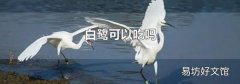 白鹭可以吃吗