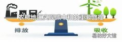 农村地区实现碳中和的重要路径
