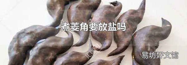 煮菱角要放鹽嗎