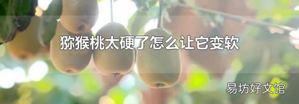 猕猴桃太硬了怎么让它变软