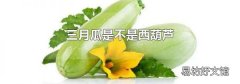 三月瓜是不是西葫芦