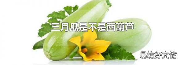 三月瓜是不是西葫蘆